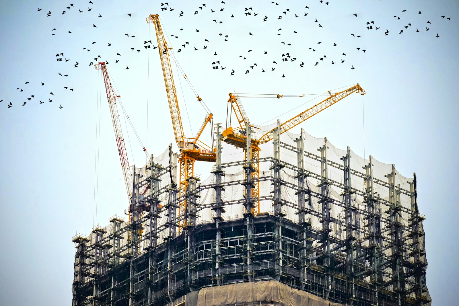 Cranes on top of a building representing the KR Puram real estate market