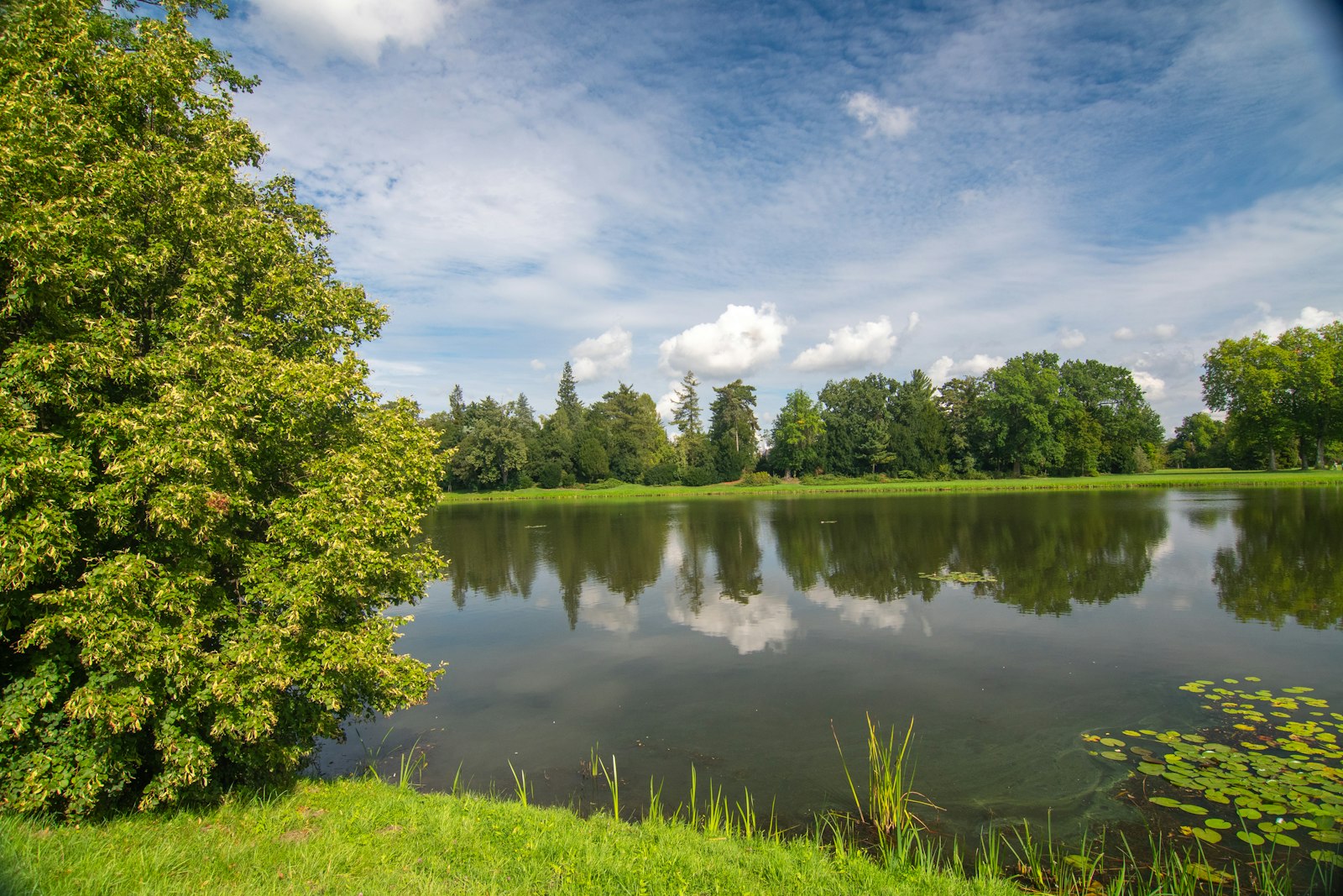 Kundalahalli Lake green space near Brookefield Bangalore