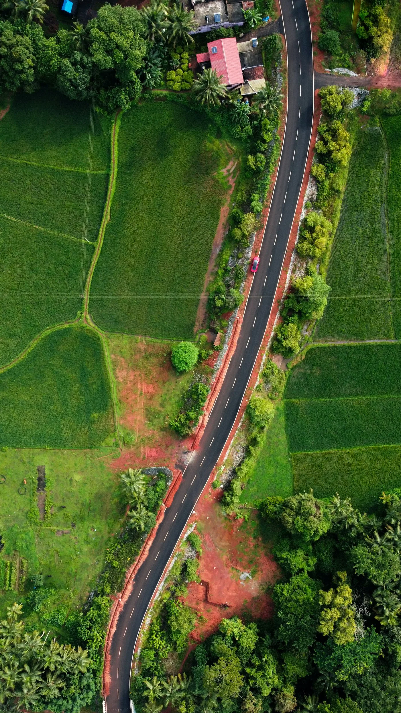 Aerial view of a green grass field