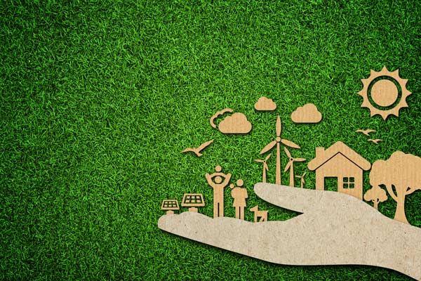 A Guide to Eco-Friendly Packaging for Small Business Owners - Paper Mart Blog