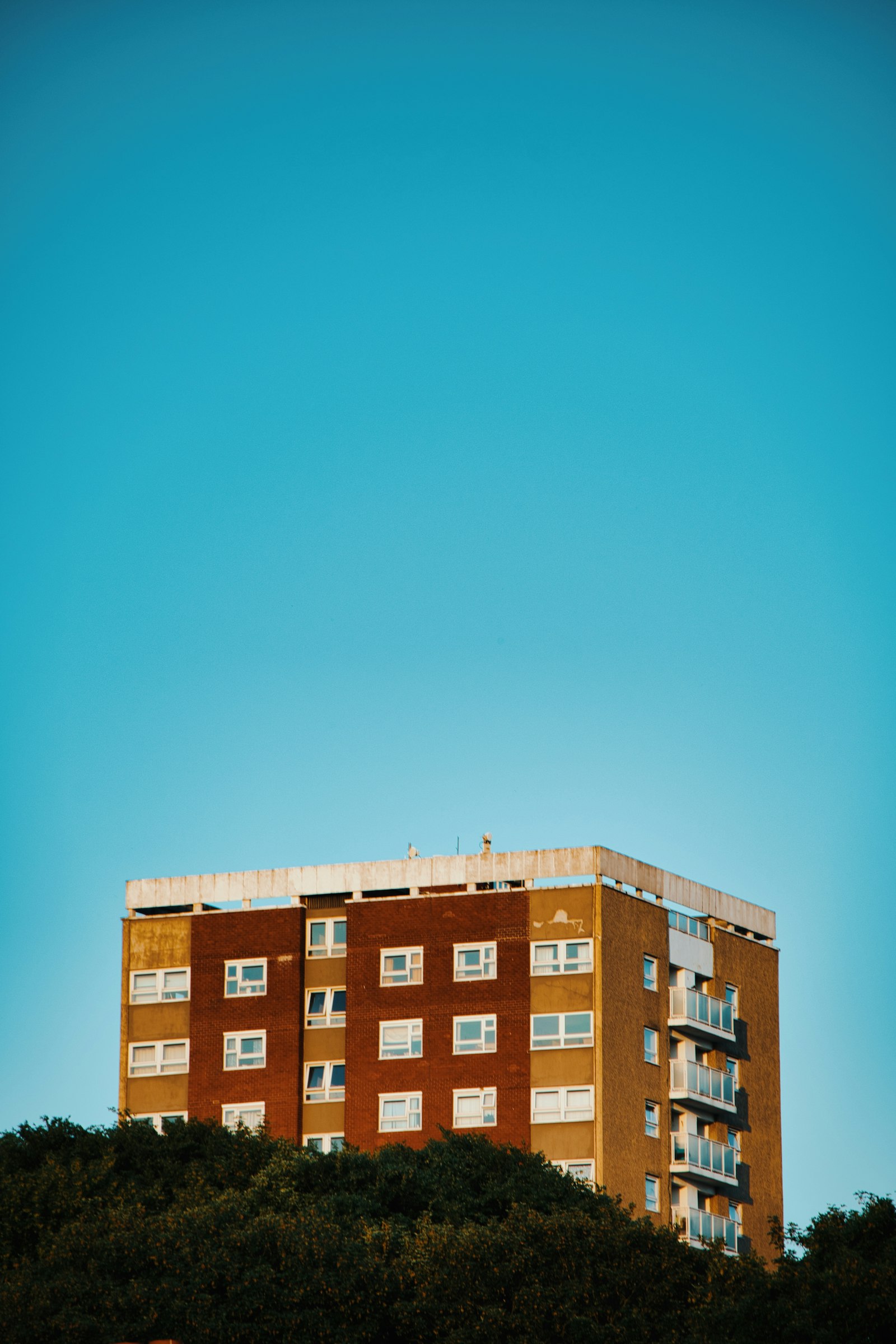 Tall building on a green hillside representing Rajajinagar real estate prices and investment trends