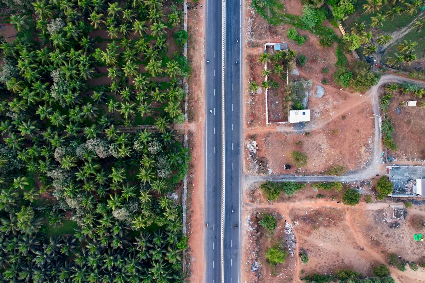 Aerial view of a road lined with palm trees