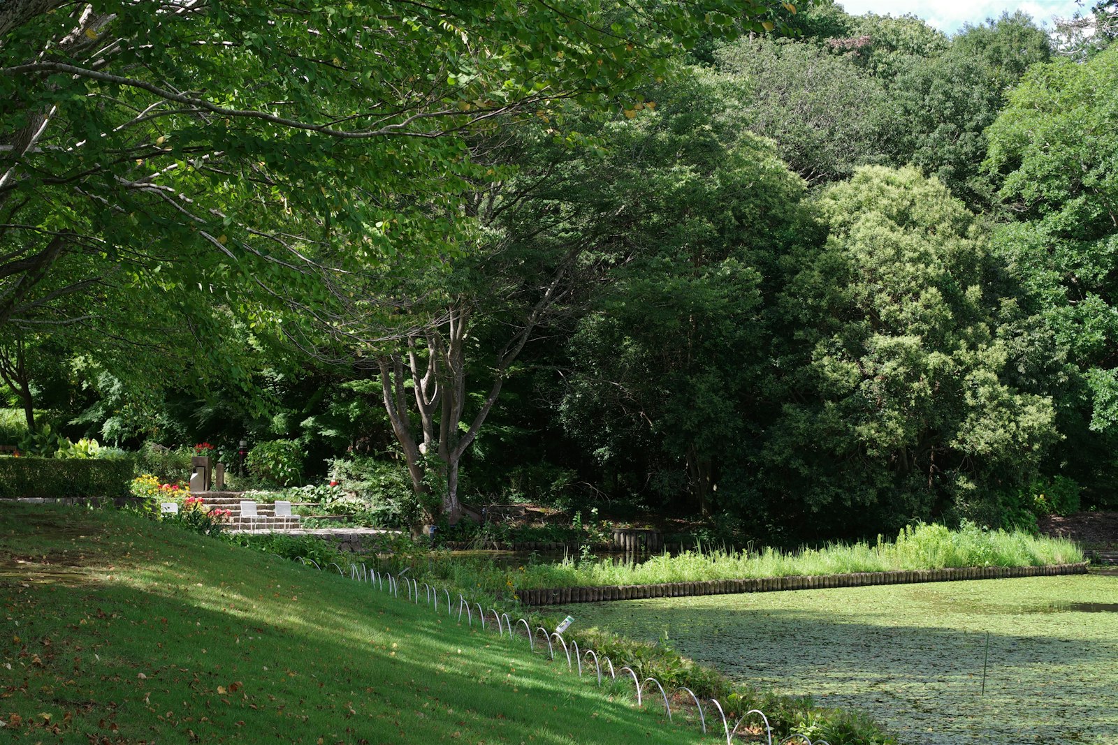 Vidyaranyapura Bangalore: Complete Locality Guide for Buyers