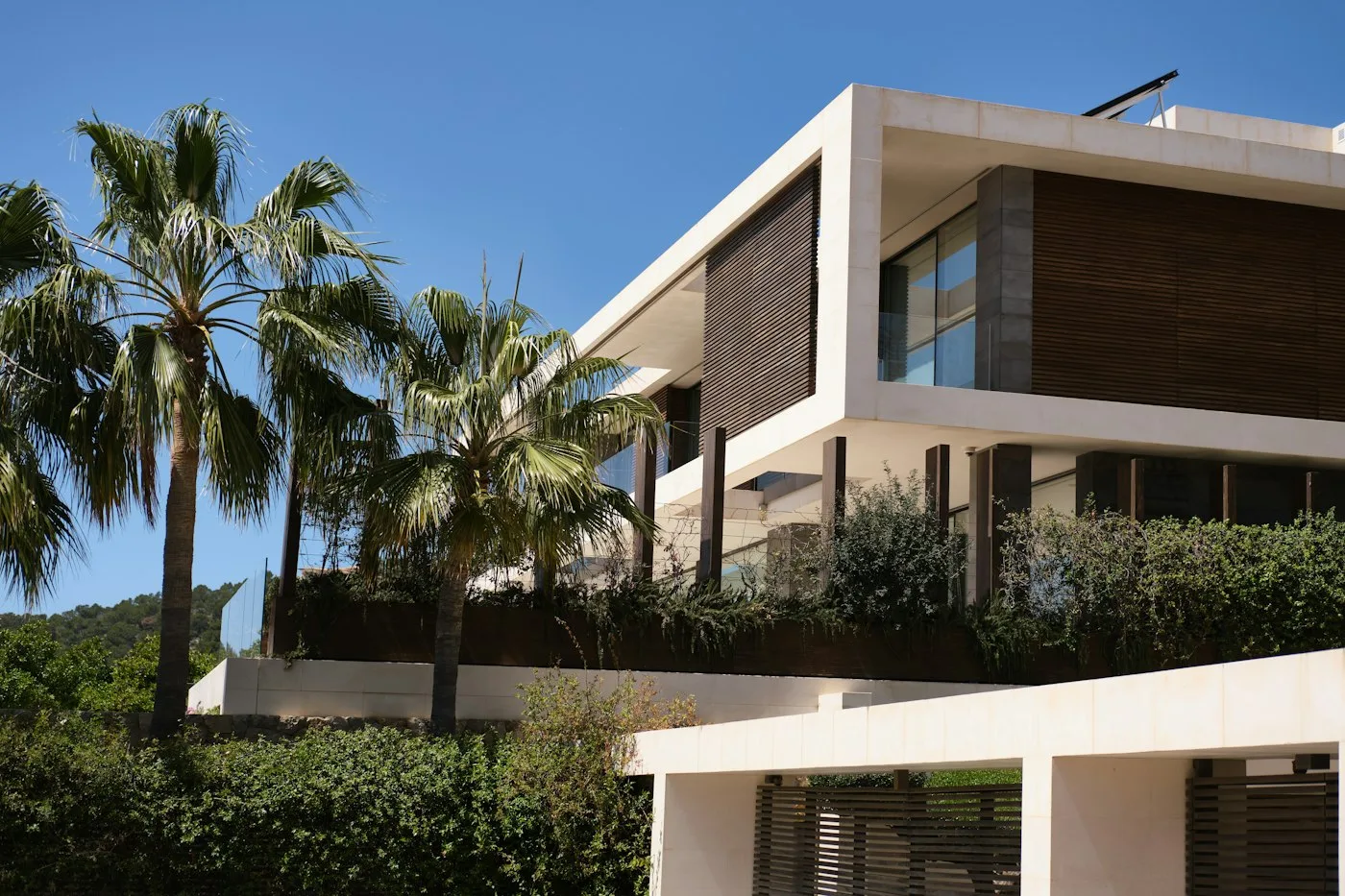 Modern luxurious house among palm trees