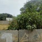 Plot for Sale in Horamavu  Rdajkumar Layout  Kalkere Main Road