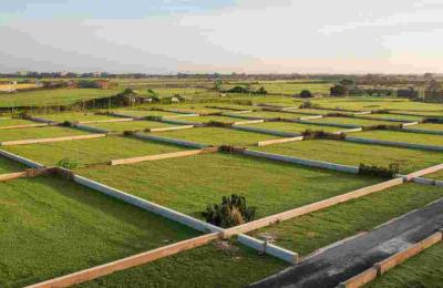 Plots for Sale in Devanahalli Below 50 Lakhs: 2026 Buyer Guide