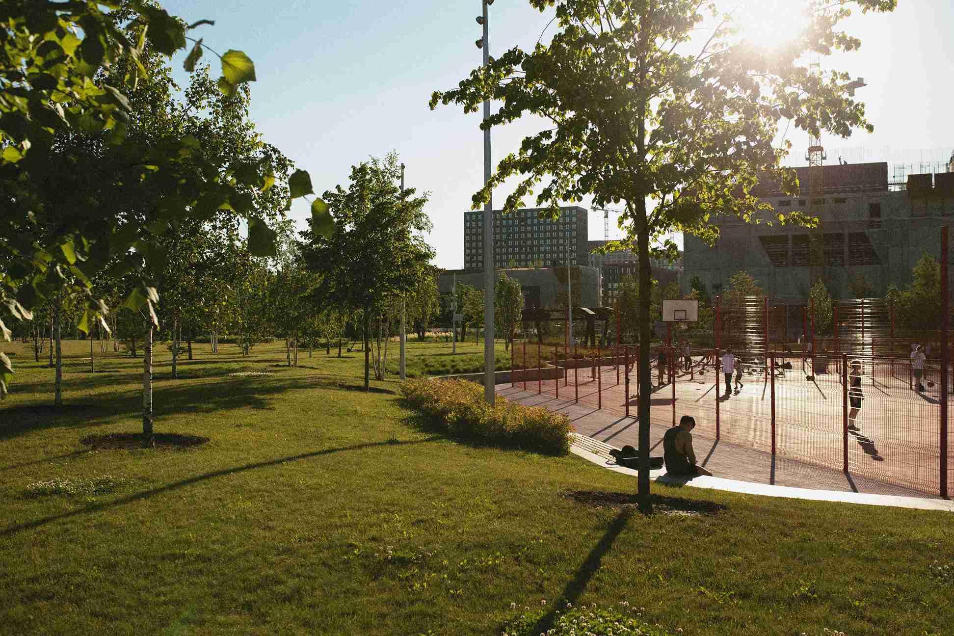 analog-city-landscape-with-buildings-daylight_11zon