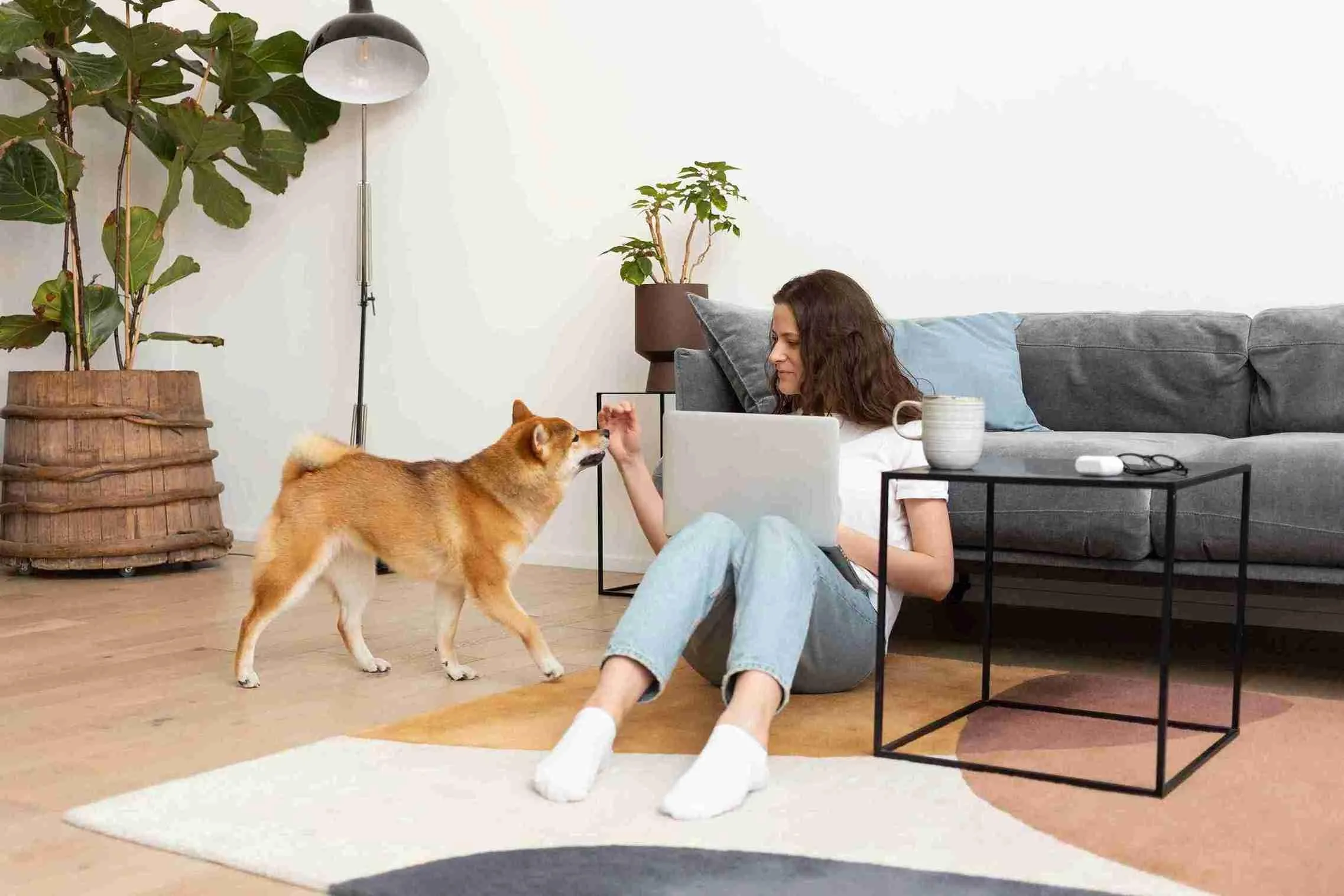 Pet-Friendly Amenities