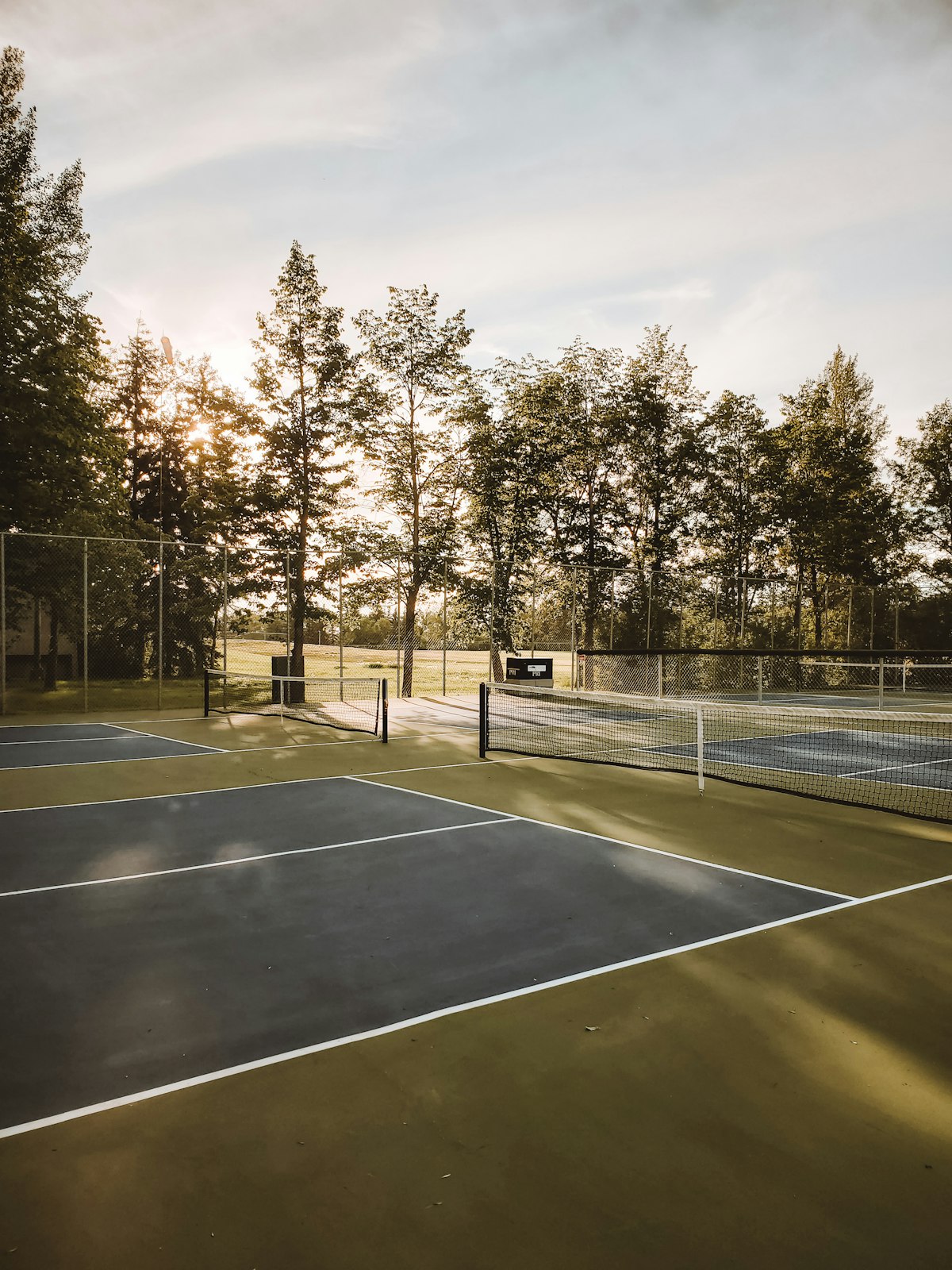 Basketball court surrounded by trees