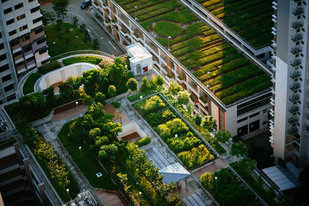 Aerial view of green forest cover near residential buildings