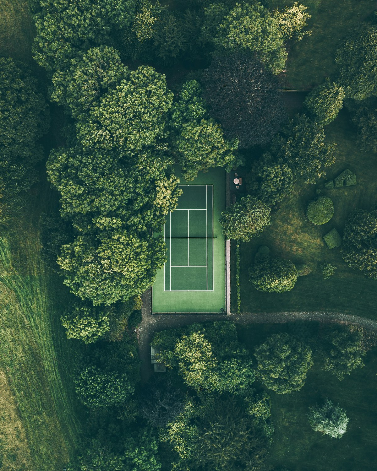 Aerial view of tennis court surrounded by trees