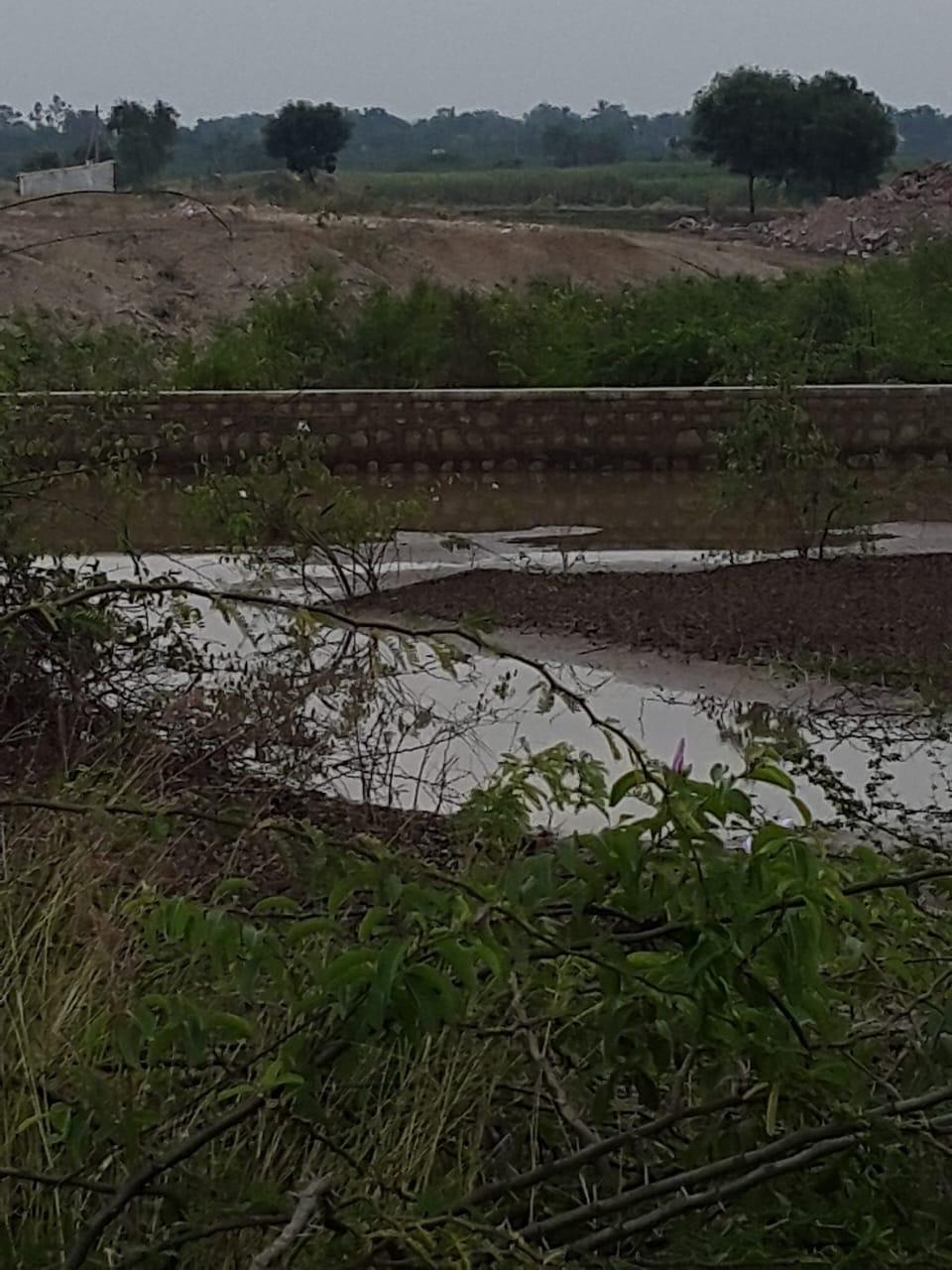 Agricultural Land for Sale in Sattigeri, Belagavi