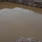 Agricultural Land for Sale in Sattigeri, Belagavi