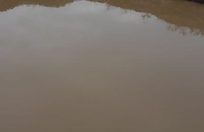Agricultural Land for Sale in Sattigeri, Belagavi